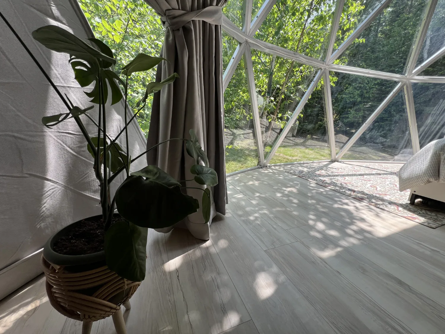 Article Header Image