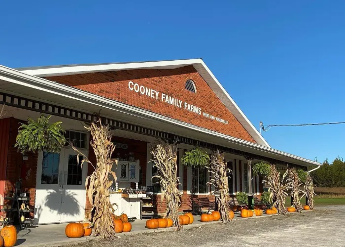Cooney's Apple Store. A store front with pumpkins and corn husks.