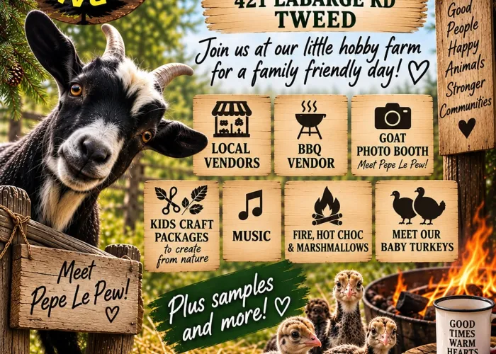 AI poster, goat looking at you over fence, chicks on bottom of page, bonfire, mug on stump with marshmallows, pine trees, blue skies and clouds at top, event details in centre